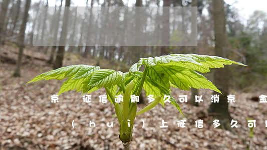 京東征信逾期多久可以消(京東金融逾期多久會(huì)上征信多久可以消除)