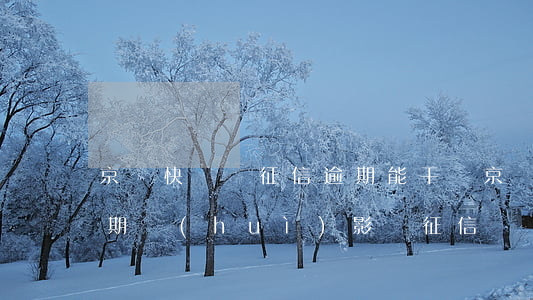 京東快遞員征信逾期能干嗎(京東金融借款逾期會(huì)影響征信嗎)