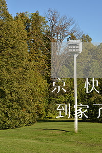 京東快遞逾期(京東逾期1年多快遞你給我送到家了)