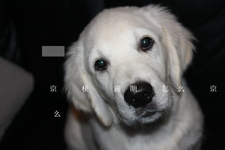 京東快遞逾期會怎么樣(京東快遞超期會有什么補償)