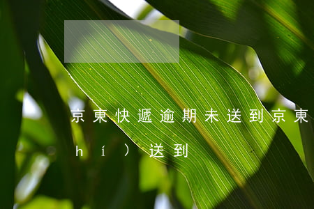 京東快遞逾期未送到(京東快遞未能按時(shí)送到)