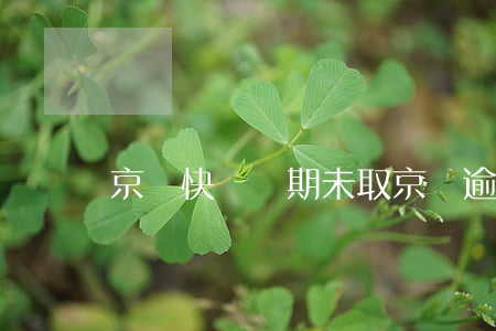京東快遞過期未取（京東逾期寄過來的ems）