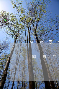 京東怎么修改白條還款銀行卡嗎-京東怎么修改白條還款銀行卡嗎安全嗎