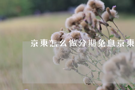 京東怎么做分期免息 京東怎么做分期免息
