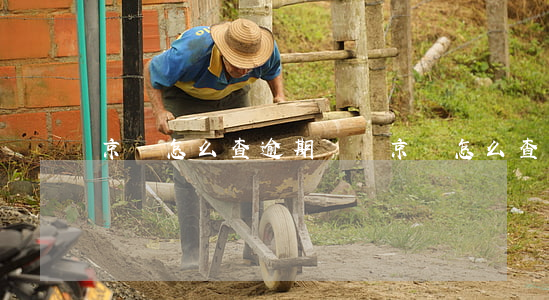 京東怎么查逾期記錄(京東怎么查買過的記錄)