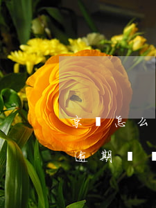 京東怎么樣取消逾期記錄(京東白條可以取消逾期記錄嗎)