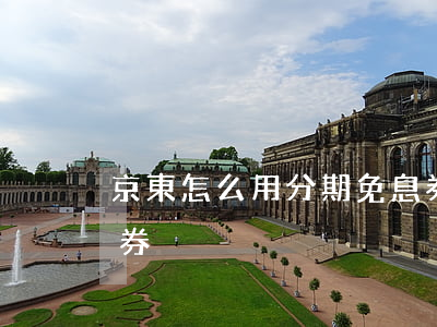 京東怎么用分期免息券(京東怎么搞分期免息券)