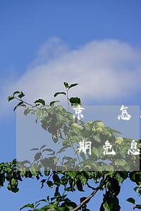 京東怎么看是不是分期免息（京東如何查詢分期免息）
