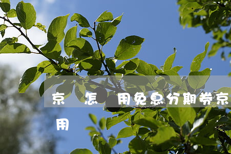 京東怎樣用免息分期券(京東的免息分期怎么用)