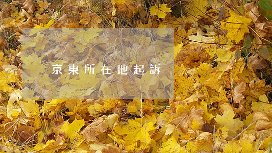 京東所在地起訴