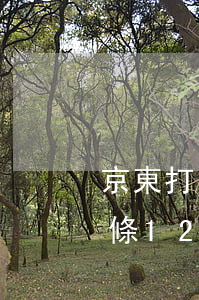 京東打白條12期免息怎么還款-京東打白條12期免息怎么還款啊