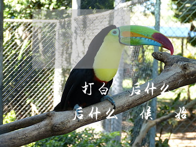 京東打白條后什么時候開始還款-京東打白條后什么時候開始還款啊
