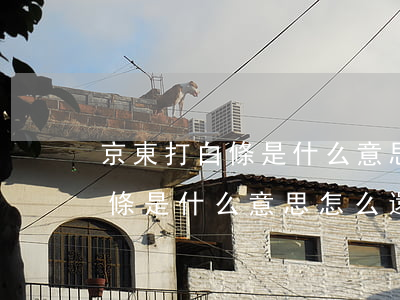 京東打白條是什么意思怎么還款-京東打白條是什么意思怎么還款啊