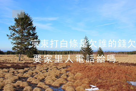 京東打白條是欠誰的錢(欠京東白條錢打電話要家里人電話給嗎)
