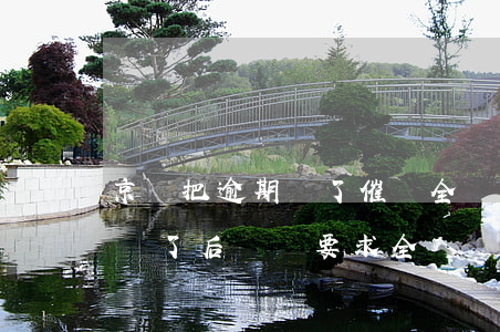 京東把逾期還了催還全額了怎么辦(京東逾期還了后還會要求全額還清嗎)
