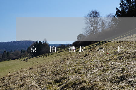 京東拍賣遭起訴(京東拍賣行將面臨法院)
