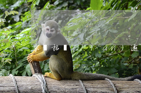 京東招聯(lián)逾期后果