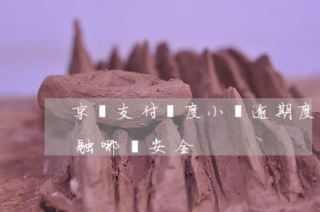 京東支付寶度小滿逾期(度小滿 支付寶 京東金融 哪個安全)