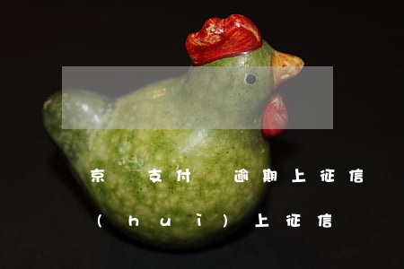 京東支付寶逾期上征信嗎(支付寶京東借款會(huì)上征信嗎)