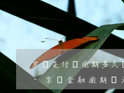 京東支付寶逾期多久會(huì)上黑名單-京東金融逾期幾天不還款就會(huì)上黑名單嗎