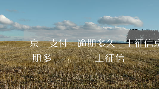 京東支付寶逾期多久會上征信(京東支付寶逾期多長時間會上征信)