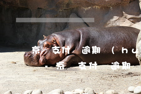 京東支付寶逾期會(huì)打收貨人電話嗎-京東支付寶逾期會(huì)打收貨人電話嗎是真的嗎