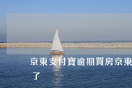 京東支付寶逾期買房(京東支付寶逾期三四年了)