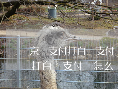 京東支付打白條支付寶怎么還款-京東支付打白條支付寶怎么還款啊