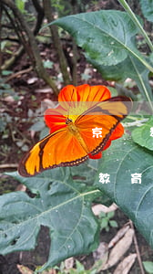 京東教育優(yōu)惠只能買一次嗎（京東教育優(yōu)惠能分期嗎）