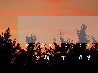 京東教育優(yōu)惠版是不是不支持白條分期-京東教育優(yōu)惠可以白條分期嗎