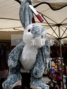 京東教育白條逾期的后果 京東白條逾期影響