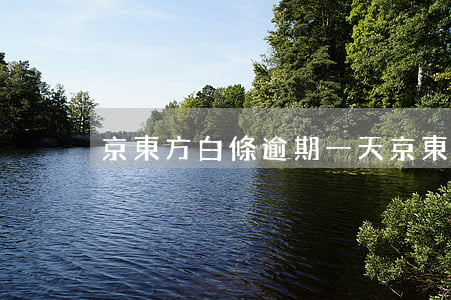 京東方白條逾期一天 京東白條逾期20天