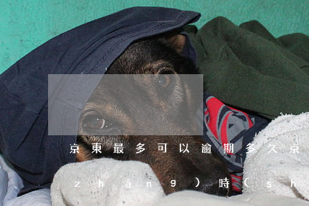 京東最多可以逾期多久(京東一般逾期多長(zhǎng)時(shí)間是一個(gè)月半還是三個(gè)月)