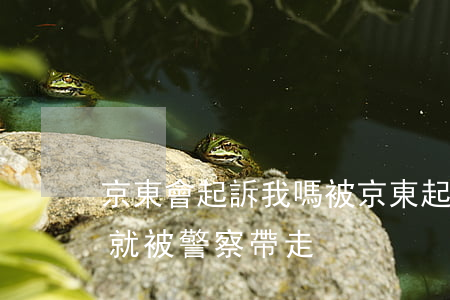 京東會起訴我嗎(被京東起訴沒接到任何通知,就被警察帶走)