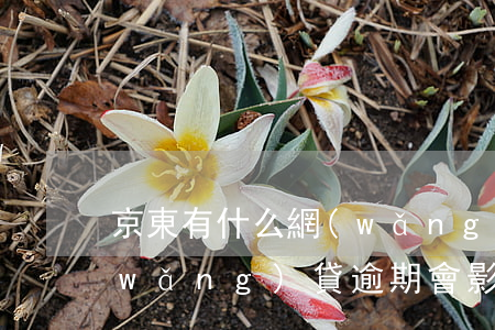 京東有什么網(wǎng)貸逾期利息(網(wǎng)貸逾期會影響京東白條使用嗎)