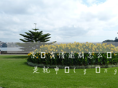 京東有借逾期怎么辦-京東有逾期記錄是不是就申請(qǐng)不了別的貸款