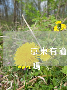 京東有逾期影響房貸嗎(京東借款會影響房貸嗎)