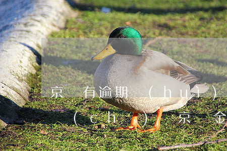 京東有逾期會(huì)影響買(mǎi)車(chē)嗎(京東金融逾期一個(gè)月還會(huì)不會(huì)影響征信記錄)