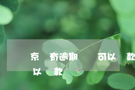 京東有逾期記錄可以貸款么(京東白條逾期可以貸款嗎)