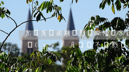 京東有過逾期會影響征信嗎(京東金融逾期一個(gè)月還會不會影響征信記錄)
