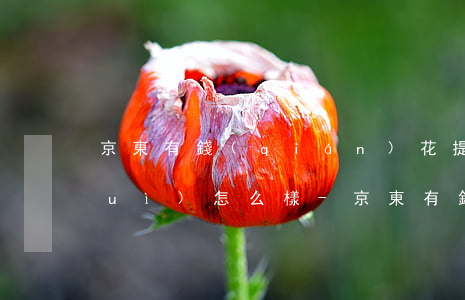 京東有錢(qián)花提前還款后會(huì)怎么樣-京東有錢(qián)花提前還款后會(huì)怎么樣嗎