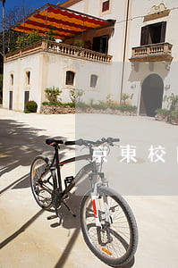 京東校園白條欠3000(京東校園白條利息)