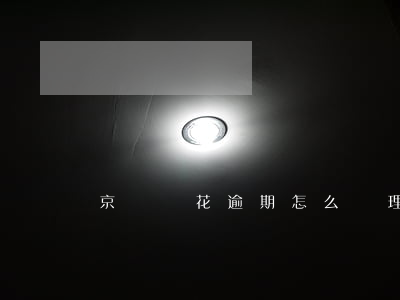 京東樂花逾期怎么處理