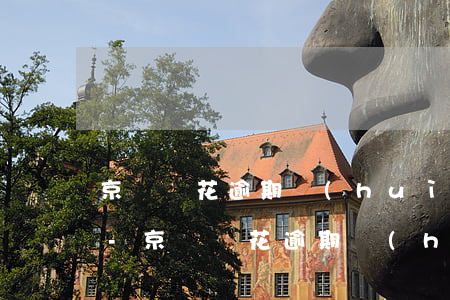 京東樂花逾期會(huì)有什么不良后果-京東樂花逾期會(huì)有什么不良后果嗎