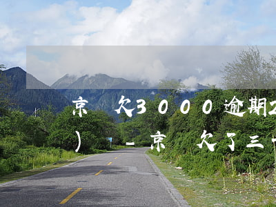 京東欠3000逾期2年親身經(jīng)歷-京東欠了三千多會被起訴嗎 逾期兩年