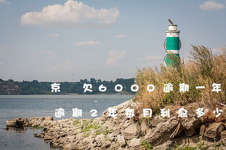 京東欠6000逾期一年(欠京東5000多,逾期2年,每月利息多少?)