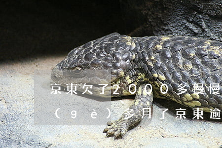 京東欠了2000多慢慢還可以嗎逾期3個(gè)多月了（京東逾期600多會(huì)怎么樣）