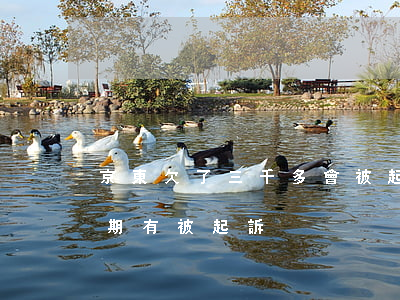 京東欠了三千多會被起訴嗎 逾期兩年（京東逾期有被起訴）