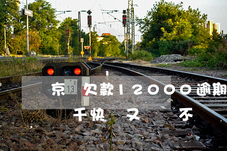 京東欠款12000逾期7個月-京東逾期幾千快錢又沒說不還會被起訴嗎
