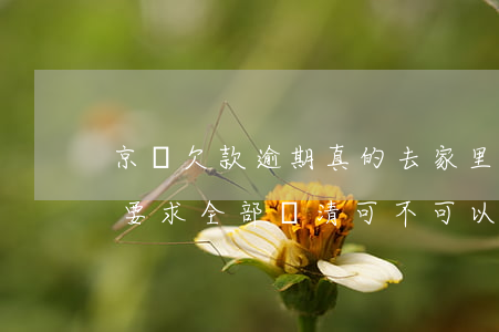 京東欠款逾期真的去家里嗎-京東欠款逾期要求全部還清可不可以先還逾期部分